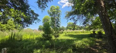 0 Buford Evans Rd, Petal, MS 39465 photo 5