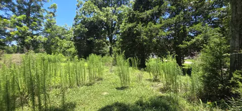 0 Buford Evans Rd, Petal, MS 39465 photo 3
