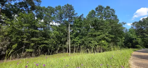0 Turkey Fork Rd, Richton, MS 39476 photo 2