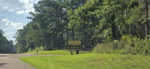 0 Turkey Fork Rd, Richton, MS 39476 photo 5
