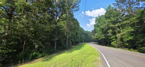 0 Turkey Fork Rd, Richton, MS 39476 photo 3