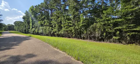 0 Turkey Fork Rd, Richton, MS 39476