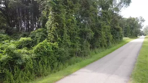 0 Ratcliff Rd, Sumrall, MS 39402 photo 9