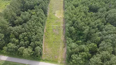 0 Ratcliff Rd, Sumrall, MS 39402 photo 3