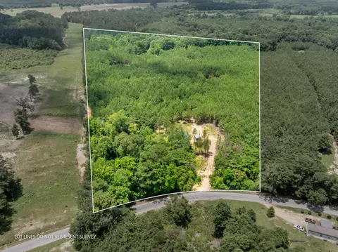 31 Acres Ridgeland Rd, Bassfield, MS 39421