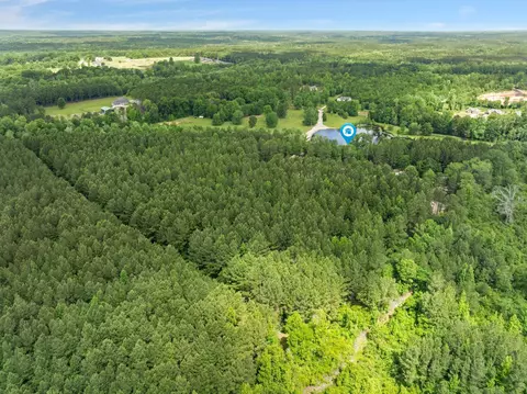 View/Area - 115 N Slade Rd, Sumrall, MS 39482 photo 9 of 11