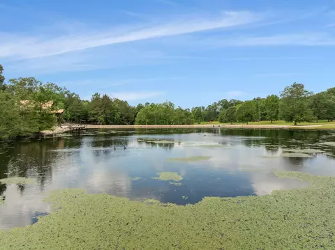 View/Area - 115 N Slade Rd, Sumrall, MS 39482 photo 1 of 11