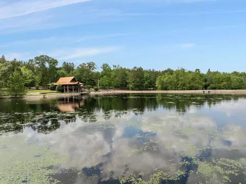 View/Area - 115 N Slade Rd, Sumrall, MS 39482 photo 2 of 11