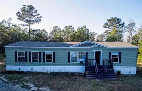 54 New Saint Paul Church Dr, Waynesboro, MS 39367