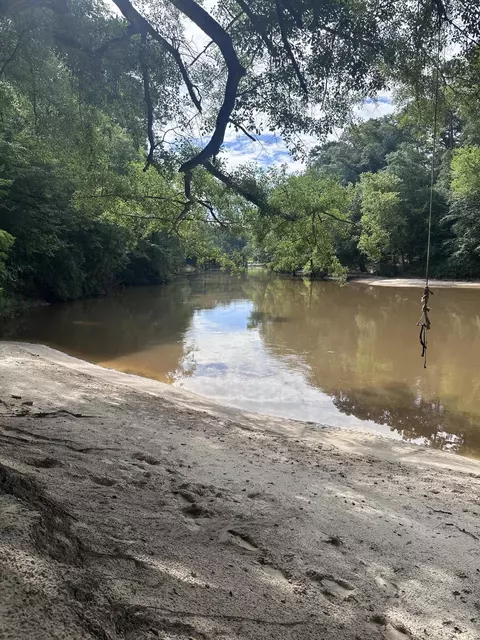00 Tranquility Ln, Moselle, MS 39459