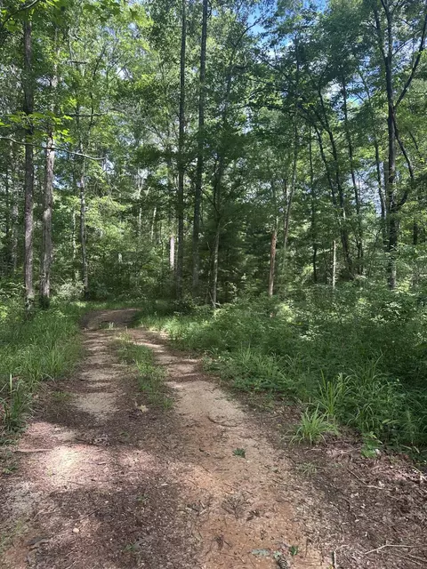 00 Tranquility Ln, Moselle, MS 39459 photo 5