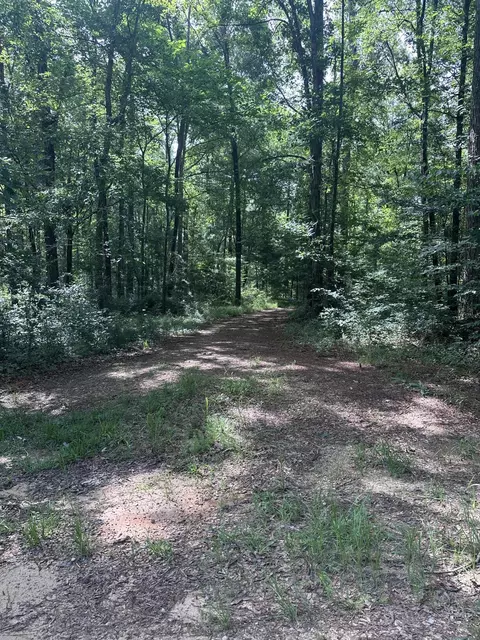 00 Tranquility Ln, Moselle, MS 39459 photo 6