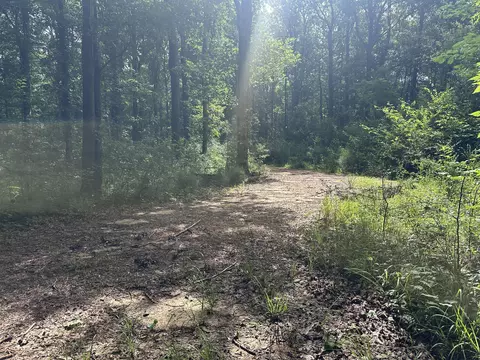 00 Tranquility Ln, Moselle, MS 39459 photo 4