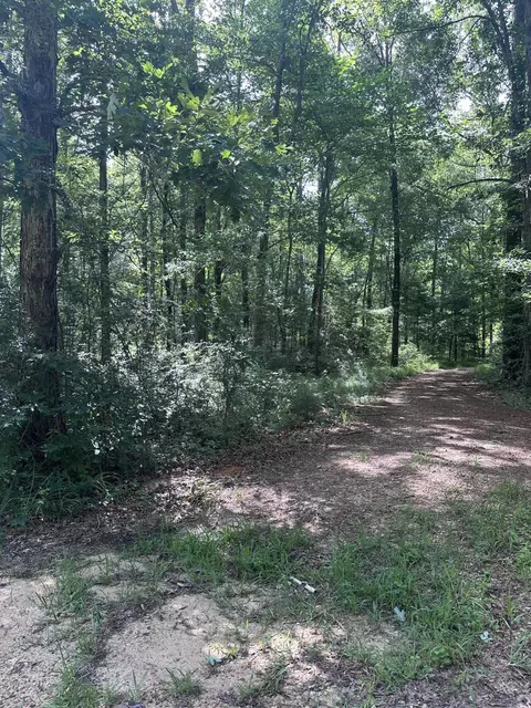 00 Tranquility Ln, Moselle, MS 39459 photo 7