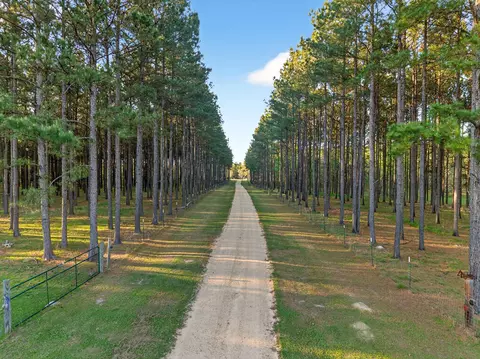 Other - 95 Gravel Pit, Sandy Hook, MS 39478 photo 16 of 16