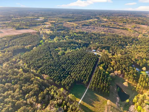 View/Area - 95 Gravel Pit, Sandy Hook, MS 39478 photo 4 of 11