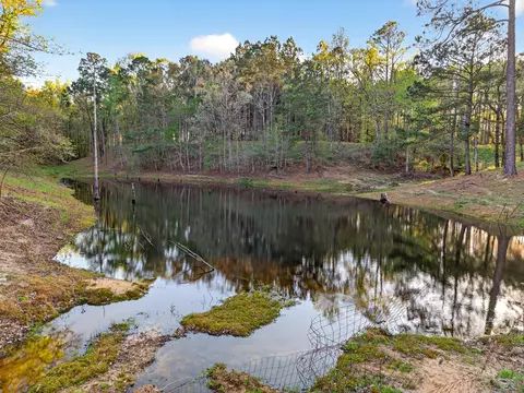 View/Area - 95 Gravel Pit, Sandy Hook, MS 39478 photo 9 of 11