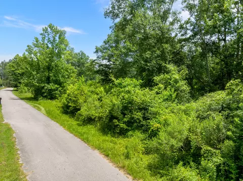 0 Poplar St, Sumrall, MS 39482 photo 15