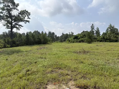 tbd Dexter Centerville Rd, Tylertown, MS 39667
