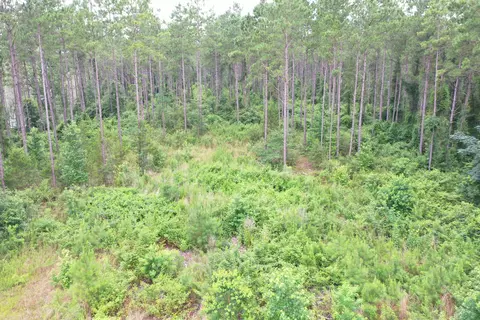 63 Dogwood Hills Dr, Laurel, MS 39443