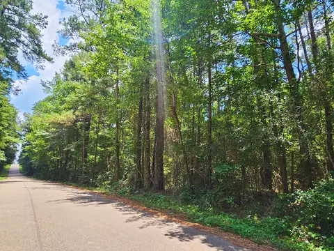 0 Jack Hall Rd, Mount Olive, MS 39119 photo 3