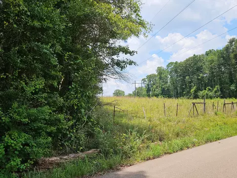 0 Jack Hall Rd, Mount Olive, MS 39119 photo 2