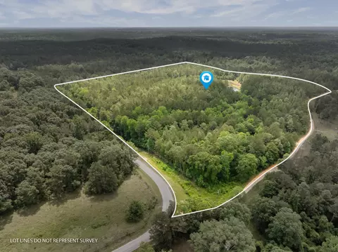 253 Trussel, Petal, MS 39465