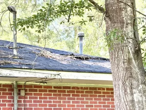 13 E Marion St, Foxworth, MS 39483 photo 18