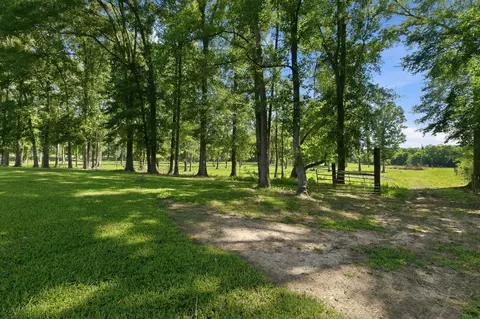 Exterior - 225 Coats, Mount Olive, MS 39119 photo 22 of 26