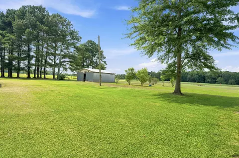 427 County Road 10, Stringer, MS 39481 photo 3