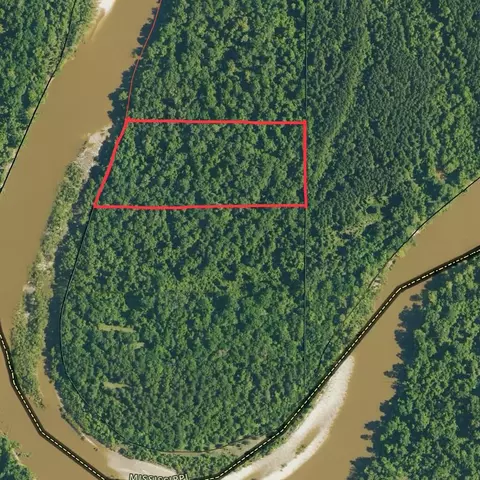 Parcel 1 6.250 Acres Ln., Sandy Hook, MS 39478 photo 8