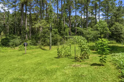 121 Carson-bunkerhill, Carson, MS 39427 photo 9