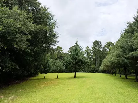 Exterior - 44 Blain Rd, Purvis, MS 39475 photo 5 of 7