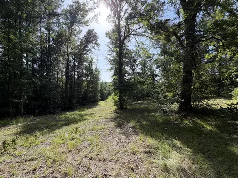 5708 County Road 643, Quitman, MS 39355 photo 2