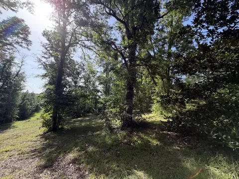 5708 County Road 643, Quitman, MS 39355 photo 3