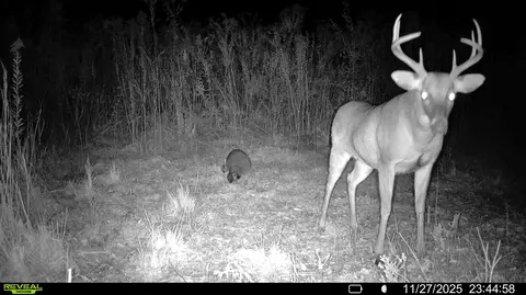 00 Biltmore Rd, Mccomb, MS 39648 photo 16