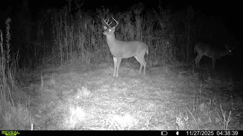 00 Biltmore Rd, Mccomb, MS 39648 photo 15