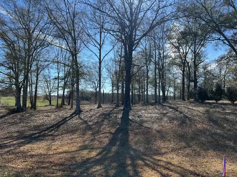 00 Biltmore Rd, Mccomb, MS 39648 photo 10