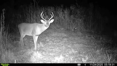 00 Biltmore Rd, Mccomb, MS 39648 photo 14