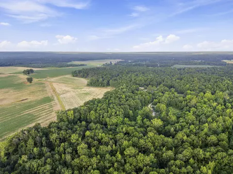 00 Sheeplo Loop, Hattiesburg, MS 39465 photo 9