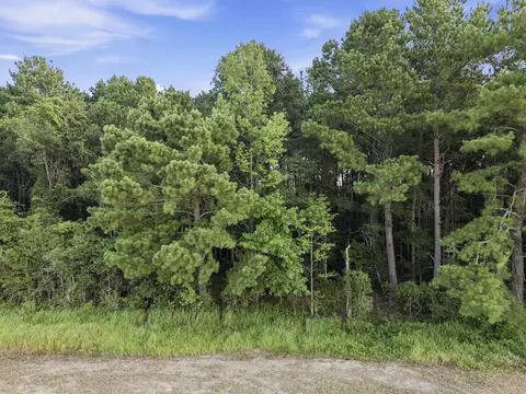 00 Sheeplo Loop, Hattiesburg, MS 39465 photo 17