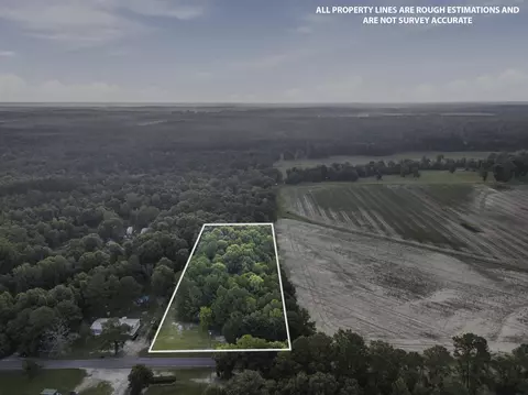 00 Sheeplo Loop, Hattiesburg, MS 39465 photo 4