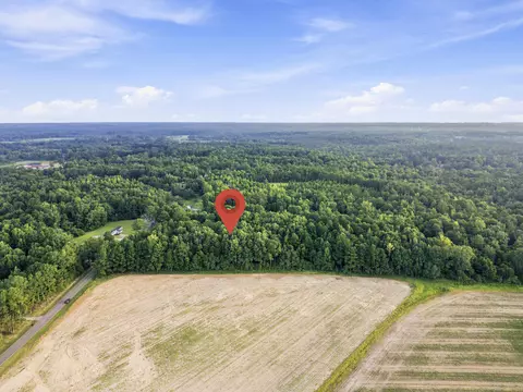 00 Sheeplo Loop, Hattiesburg, MS 39465 photo 12
