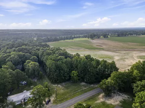 00 Sheeplo Loop, Hattiesburg, MS 39465 photo 15