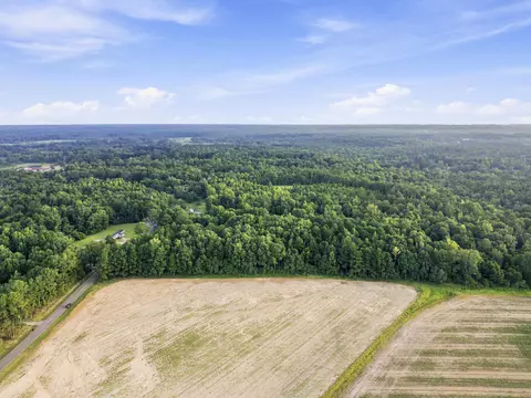 00 Sheeplo Loop, Hattiesburg, MS 39465 photo 11