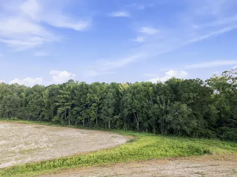00 Sheeplo Loop, Hattiesburg, MS 39465 photo 13