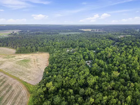 00 Sheeplo Loop, Hattiesburg, MS 39465 photo 7