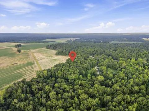 00 Sheeplo Loop, Hattiesburg, MS 39465 photo 10
