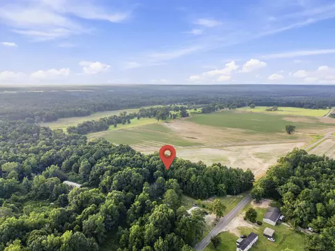 00 Sheeplo Loop, Hattiesburg, MS 39465 photo 6