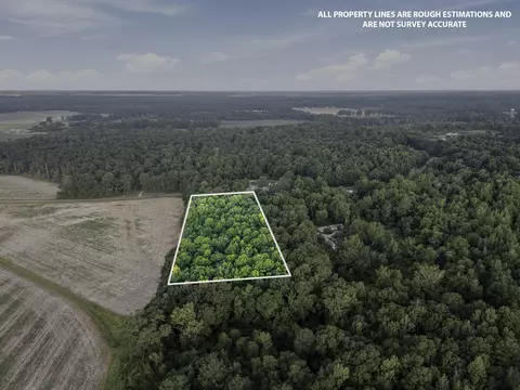 00 Sheeplo Loop, Hattiesburg, MS 39465 photo 8